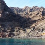 Los Gigantes Whale Watching Charter by Sail Boat - Who Is This Tour Best For?