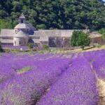 Luberon and its perched villages - What We Loved About This Tour
