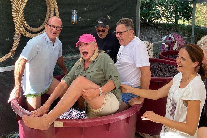 Lucca Tour and Pisa Tower + WineTasting by van from La SpeziaPort - Final Thoughts