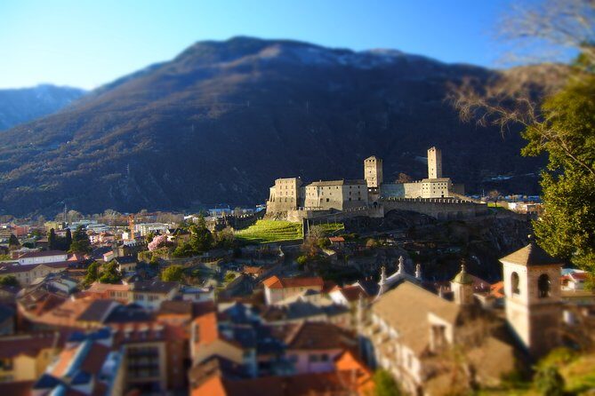 Lugano and Bellinzona private full-day tour - A Closer Look at the Tour Experience