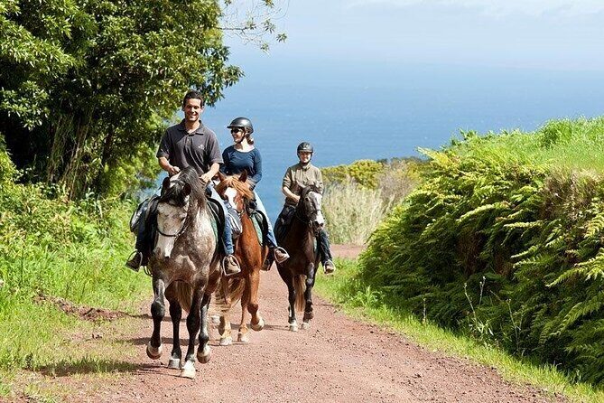 Lusitano Trail - Horseback riding for beginners - The Experience Value