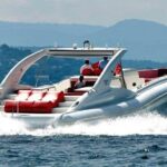 Luxury Opera 60 Whale & Dolphin Watching Experience - The Experience in Detail