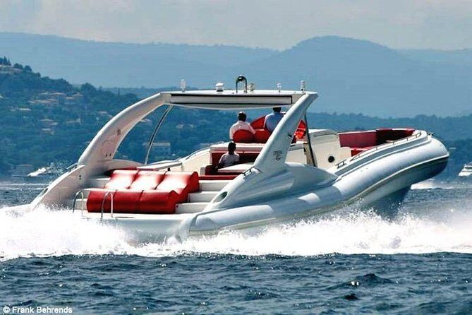 Luxury Opera 60 Whale & Dolphin Watching Experience - The Experience in Detail