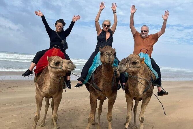 Luxury Tangier Private Day Tour from Malaga All inclusive - What to Expect on this Full-Day Moroccan Adventure