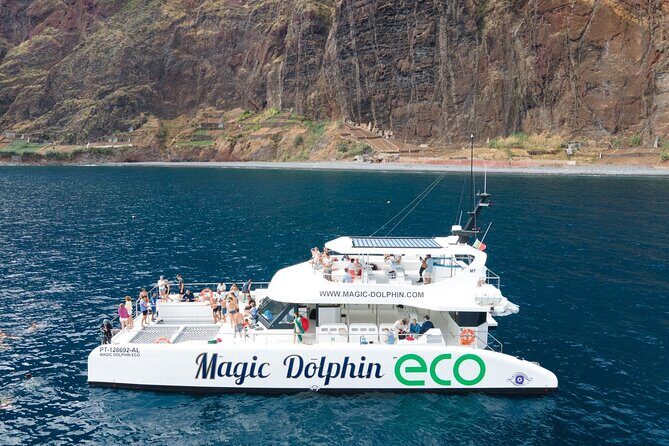 Madeira Dolphin and Whale Watching on a Ecological Catamaran - Wildlife Encounters: What You Might See
