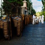 Madeira Half-Day Sightseeing Private Tour with Wine Tasting - Frequently Asked Questions