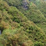Madeira Levada Walk - Rabacal Lakes and Fountains - FAQs