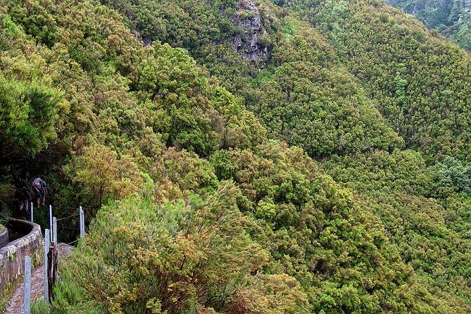 Madeira Levada Walk - Rabacal Lakes and Fountains - FAQs