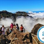 Madeira Peaks - Open 4X4 Full-Day Tour - The Off-Road Experience