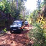 Madeira Safari - East of the island - A Deep Dive into the Madeira Safari East Tour