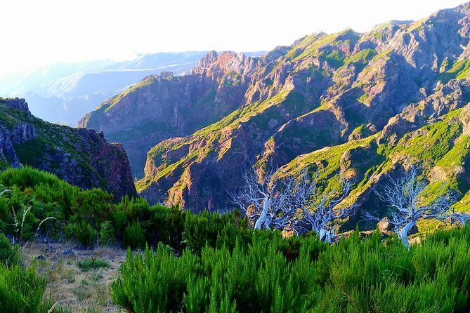 Madeira Top Sunrise - Who Would Love This Tour?
