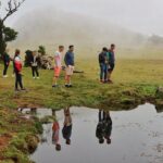 Madeira West - Enchanted Terraces & Fanal Unesco open top jeep - Final Thoughts