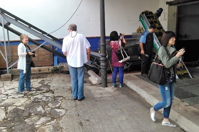 Madrid Wineries Private Tour with Hotel Pickup and Lunch - Things to Keep in Mind