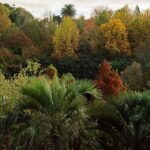 Magical and Exclusive Private Visit to the Fonte Baxa Garden, Luarca - What We Loved and What Could Be Better