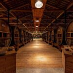 Maison Noilly Prat VIP tour, wine and vermouth tastings - The Breakdown of the Itinerary