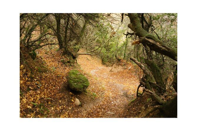 Majestic Meteora Private Morning Tours - What’s Included and What to Expect