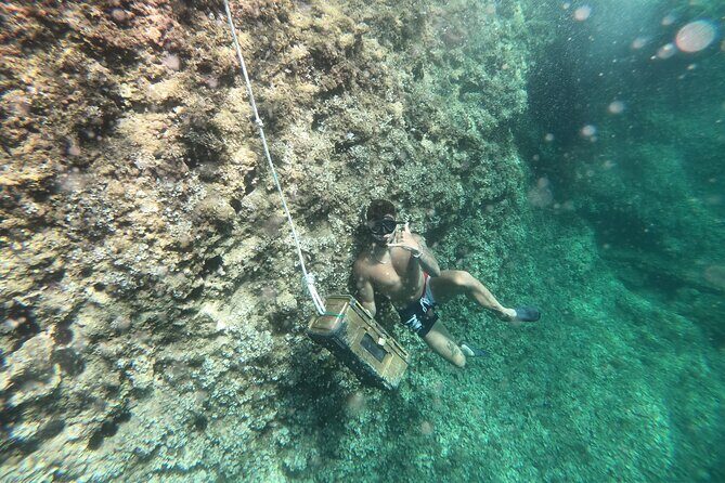 Mallorca: Kayaking, Sea Cave, Cliff Jumping & Snorkel Tour - How the Tour Flows