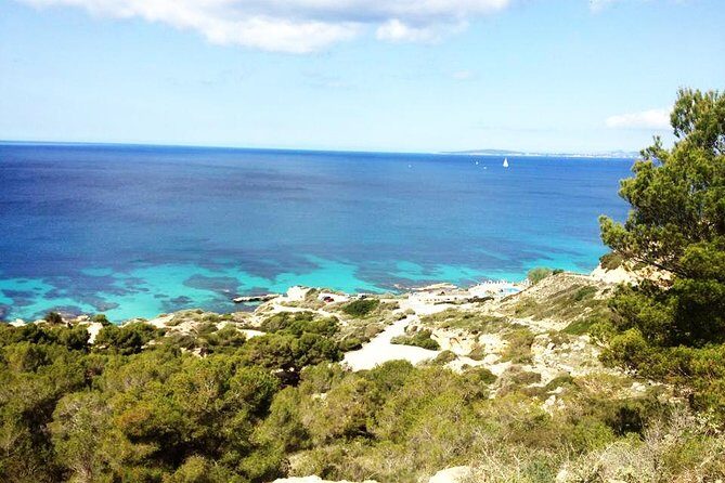 Mallorca: Try Scuba Diving in a Beautiful Nature Reserve - The Itinerary and Experience Breakdown