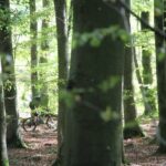 Malmo Bike Rental - The Highlights of Cycling in Malmö