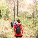 Marbella Guided Hiking and Foraging Adventure - The Real Traveler Feedback