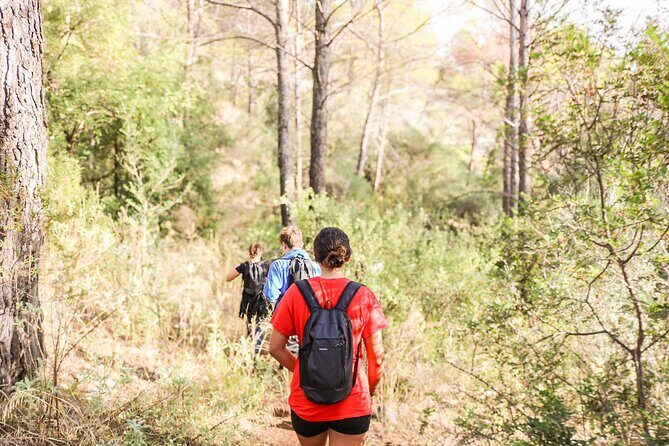 Marbella Guided Hiking and Foraging Adventure - The Real Traveler Feedback