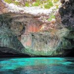Marettimo Sea Caves Boat Tour - What the Reviews Say: Authentic Traveler Feedback
