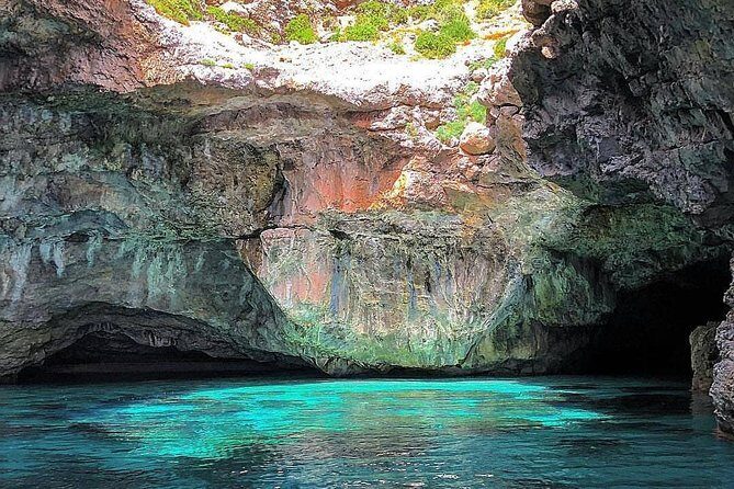 Marettimo Sea Caves Boat Tour - What the Reviews Say: Authentic Traveler Feedback