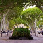 Marseille Aix-en-Provence and Cassis 7 hours - Practical Considerations