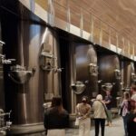 Medoc Afternoon Wine Tour - 2 Wineries, tastings & delicacies - The Itinerary in Detail