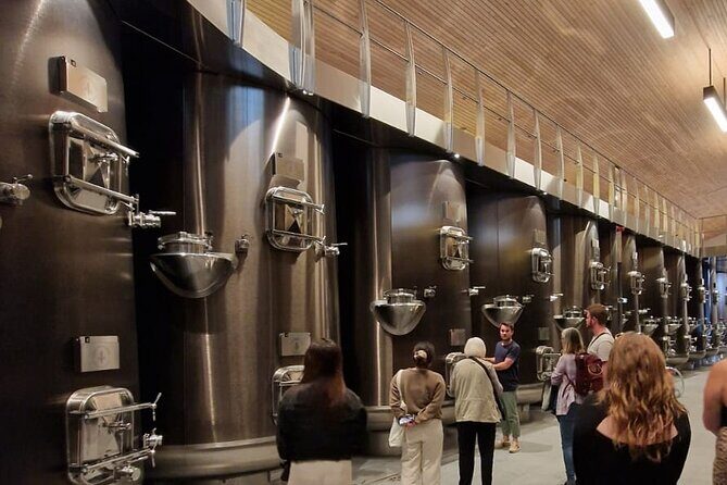 Medoc Afternoon Wine Tour - 2 Wineries, tastings & delicacies - The Itinerary in Detail