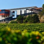 Medoc Private Half Day Wine Tour from Bordeaux - What Travelers Say