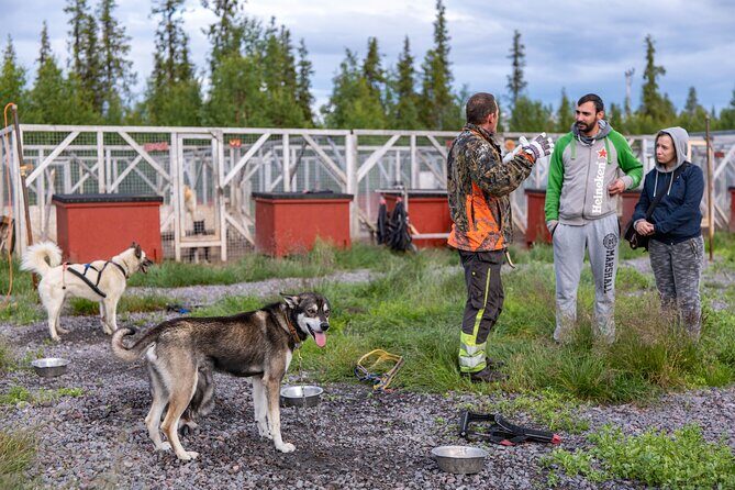 Meet 70 Huskies and Enjoy a short ATV Tour with the Huskies - Why This Tour Might Be a Great Choice