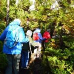 Mistérios Negros Hiking Trail - Terceira Azores - Is It Worth the Price?