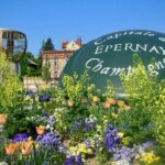 Moet et Chandon Veuve Clicquot Pommery Private Champagne Day trip - Practical Details and Considerations