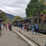 Mokra Gora toure with a argan 8 train ride - Real Traveler Insights