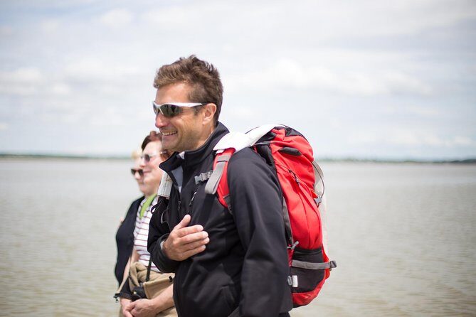 Mont-Saint-Michel bay walk - The Experience and Its Highlights
