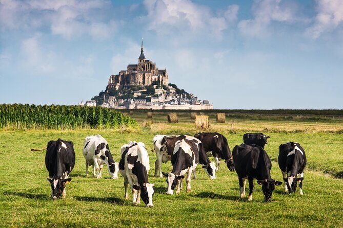 Mont Saint Michel Guided Day Trip with Hotel Pickup - Is It Worth the Price?
