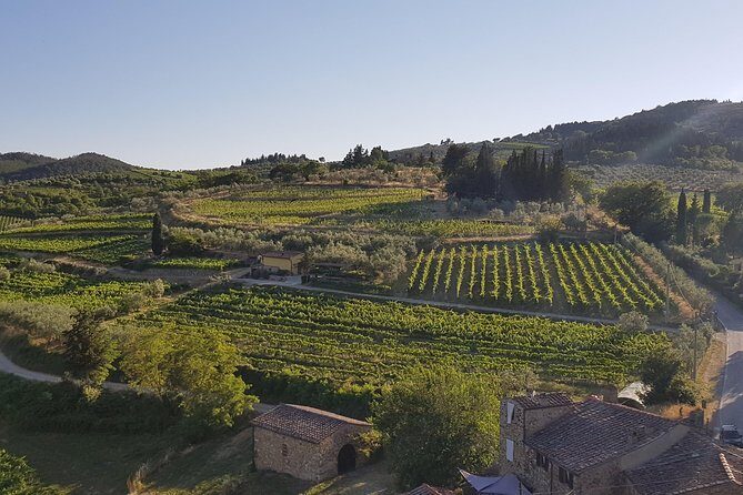 Montefioralle Winery - Tour and Wine Tasting in Chianti - Who Should Book This Tour?