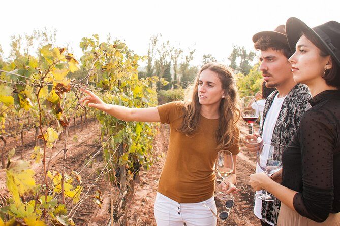 Montserrat & Cogwheel Train, Gourmet Wine Tasting & Tapas/Lunch - What Travelers Are Saying: Honest Perspectives