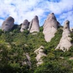 Montserrat Day Trip with Lunch and Wine Tasting from Barcelona - What We Appreciate About This Tour