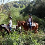 Montserrat Horseback Riding & Monastery Small Group Tour - Who Should Consider This Tour?