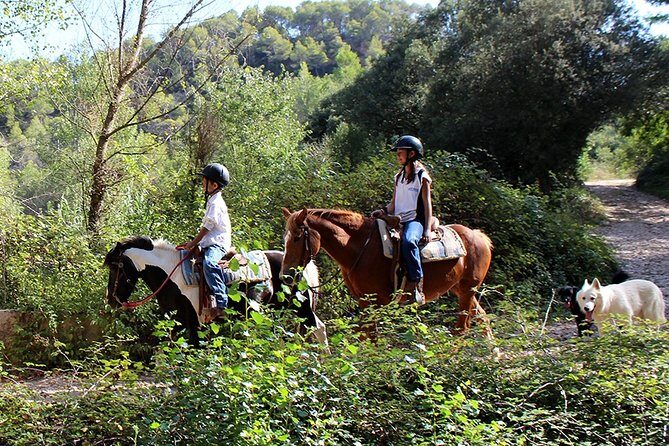 Montserrat Horseback Riding & Monastery Small Group Tour - Who Should Consider This Tour?