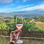 Montserrat Private Tour, Lunch & Wine Tasting in Penedes Winery - Experience Quality & Value