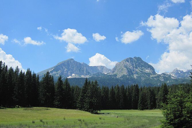 Moraca, Tara & Piva canyons with Durmitor national park - How Does the Experience Feel?