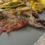 Morning Group Cruise from Milos To Polyaigos - A Deep Dive Into the Milos to Polyaigos Experience