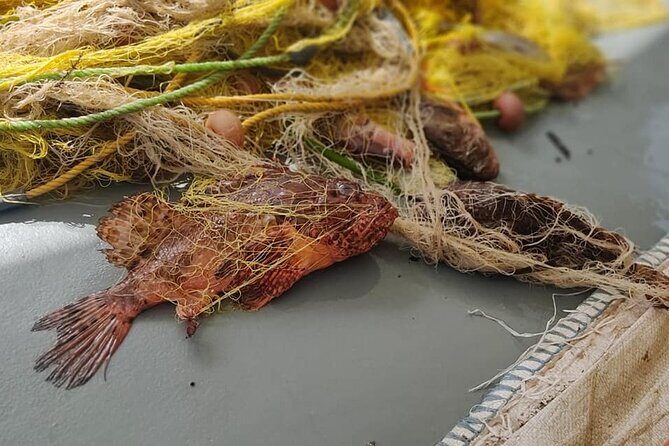 Morning Group Cruise from Milos To Polyaigos - A Deep Dive Into the Milos to Polyaigos Experience