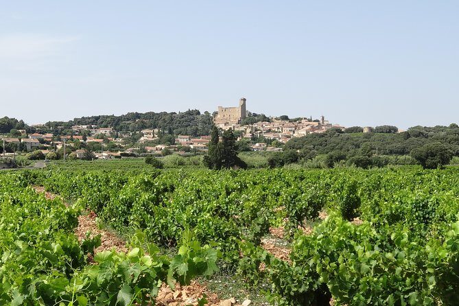 Morning Wine Tour to Chateauneuf du Pape from Avignon - Transportation & Group Size