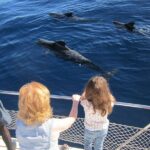 Most Famous Catamaran in Tenerife Island (2 hours and 3 hours tours) - Who Should Consider This Tour?