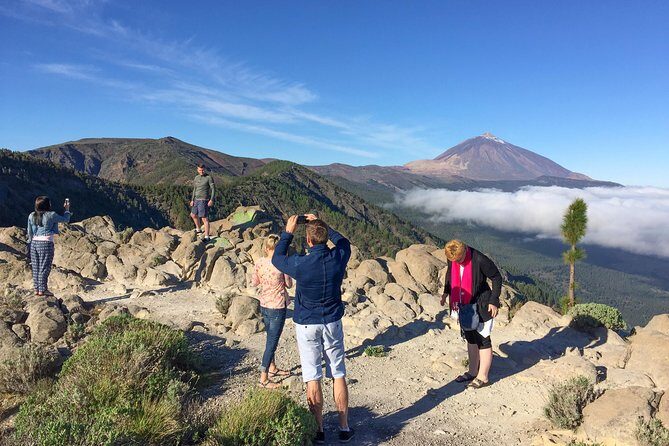 Mount Teide and Tenerife North with Food & Wine Tasting Private Tour - What This Tour Offers and Why It Excels