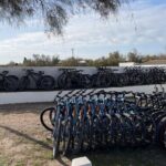 Mountain bike rental in Camargue - What Travelers Are Saying